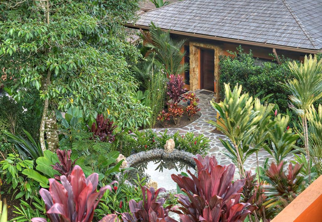 Nayara Springs - Adults Only Hotel 5*